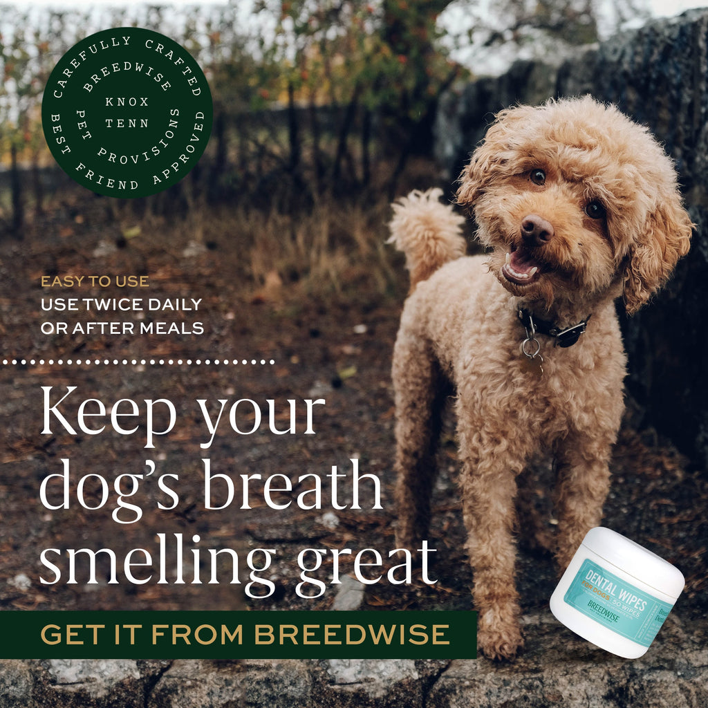 Breedwise Dental Wipes