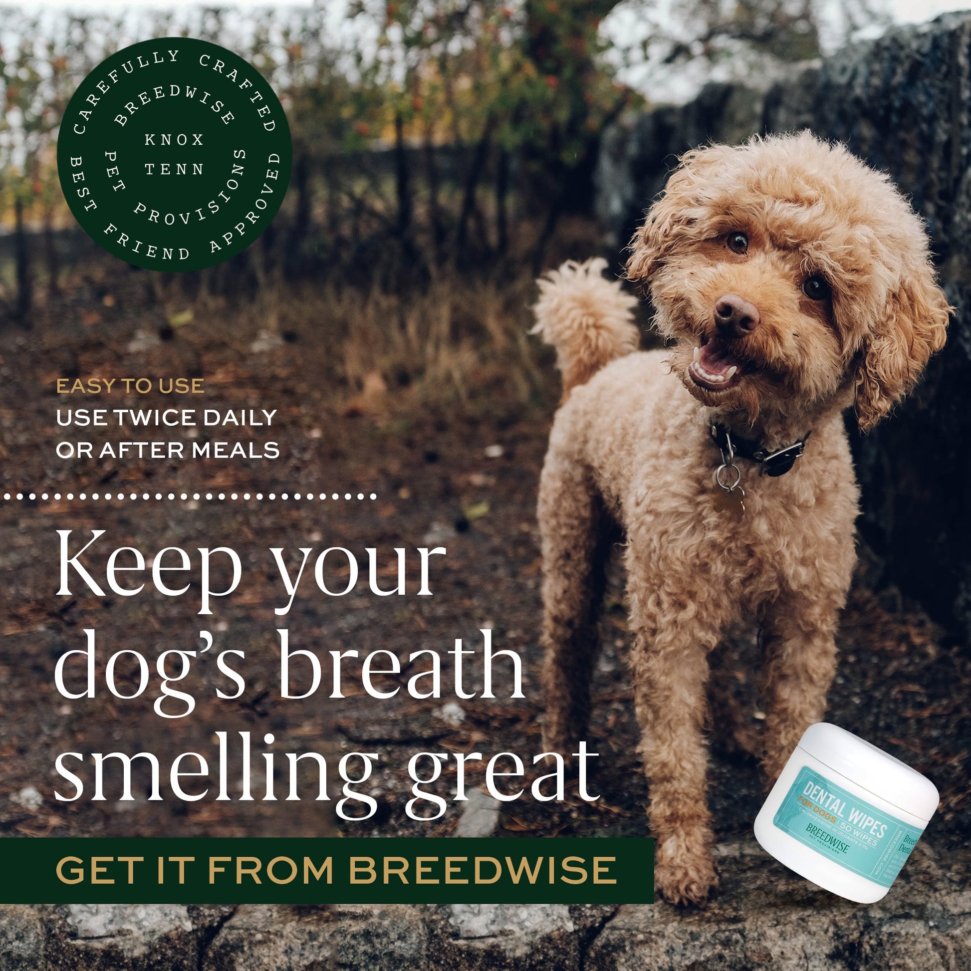 Breedwise Dental Wipes