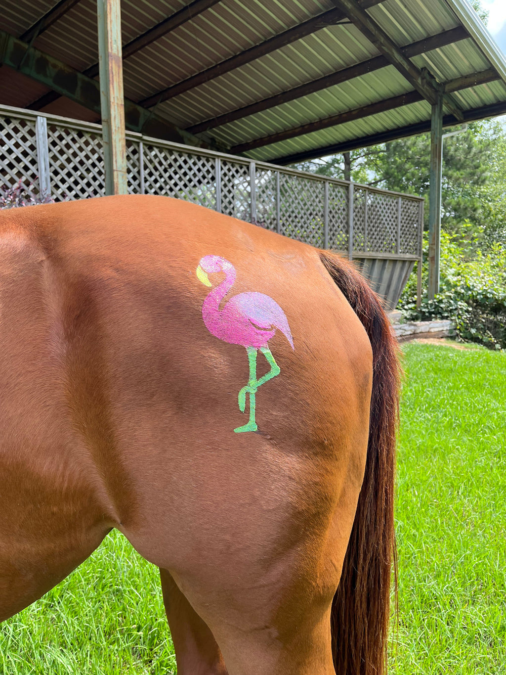 Flamingo