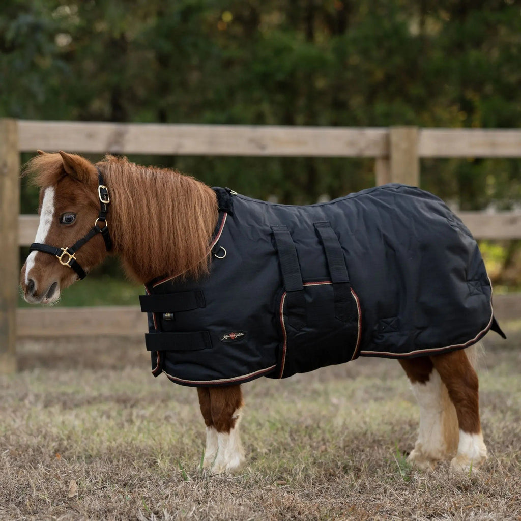 Mini 80G Light Weight Horse Winter Turnout Blanket - Waterproof & Breathable