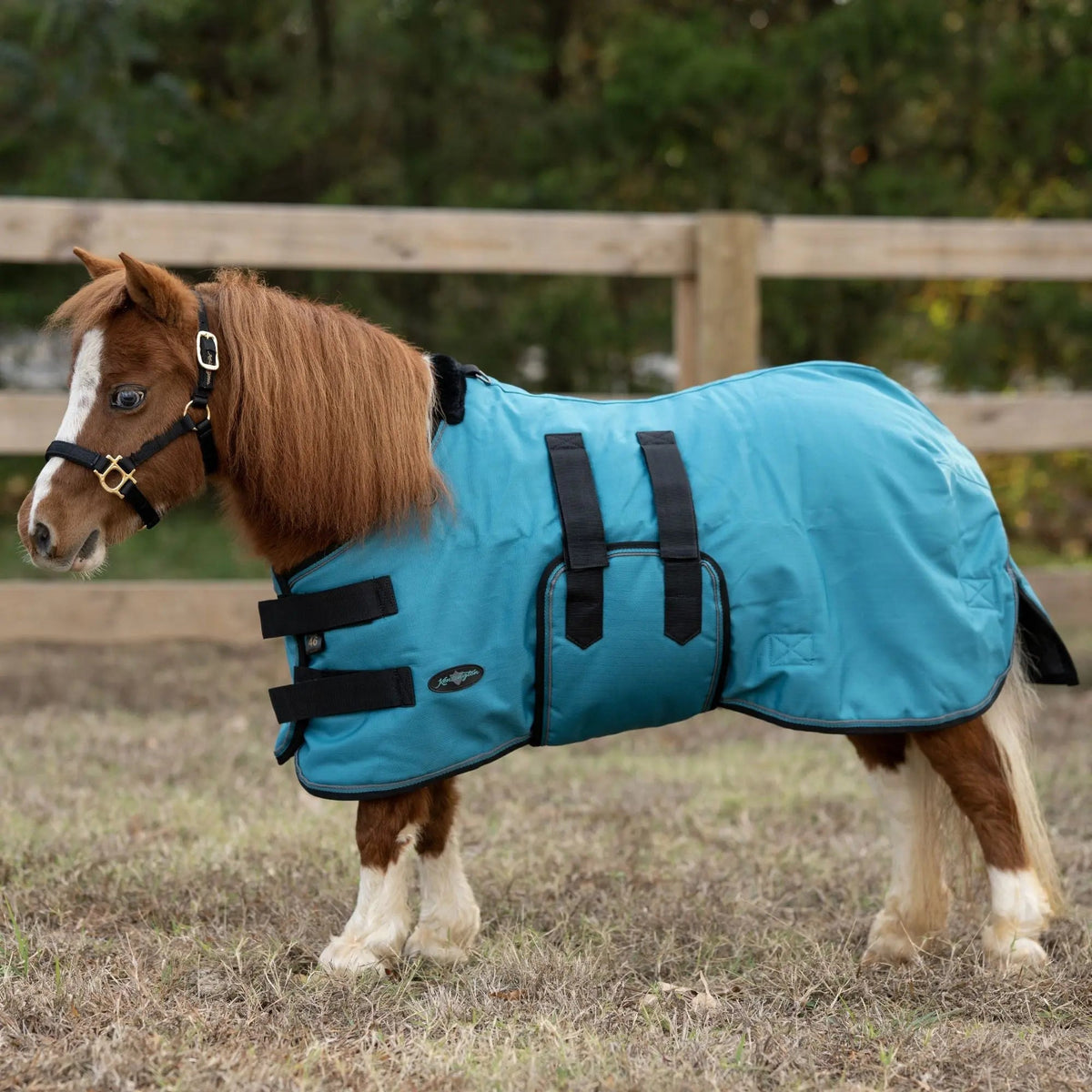 Mini 180G Medium Weight Horse Winter Turnout Blanket - Waterproof & Breathable