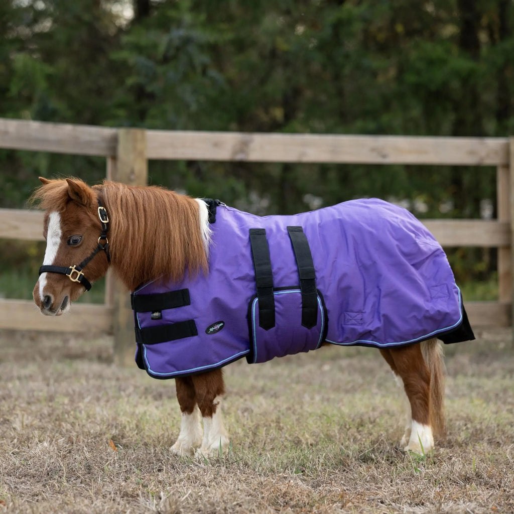 Mini 80G Light Weight Horse Winter Turnout Blanket - Waterproof & Breathable