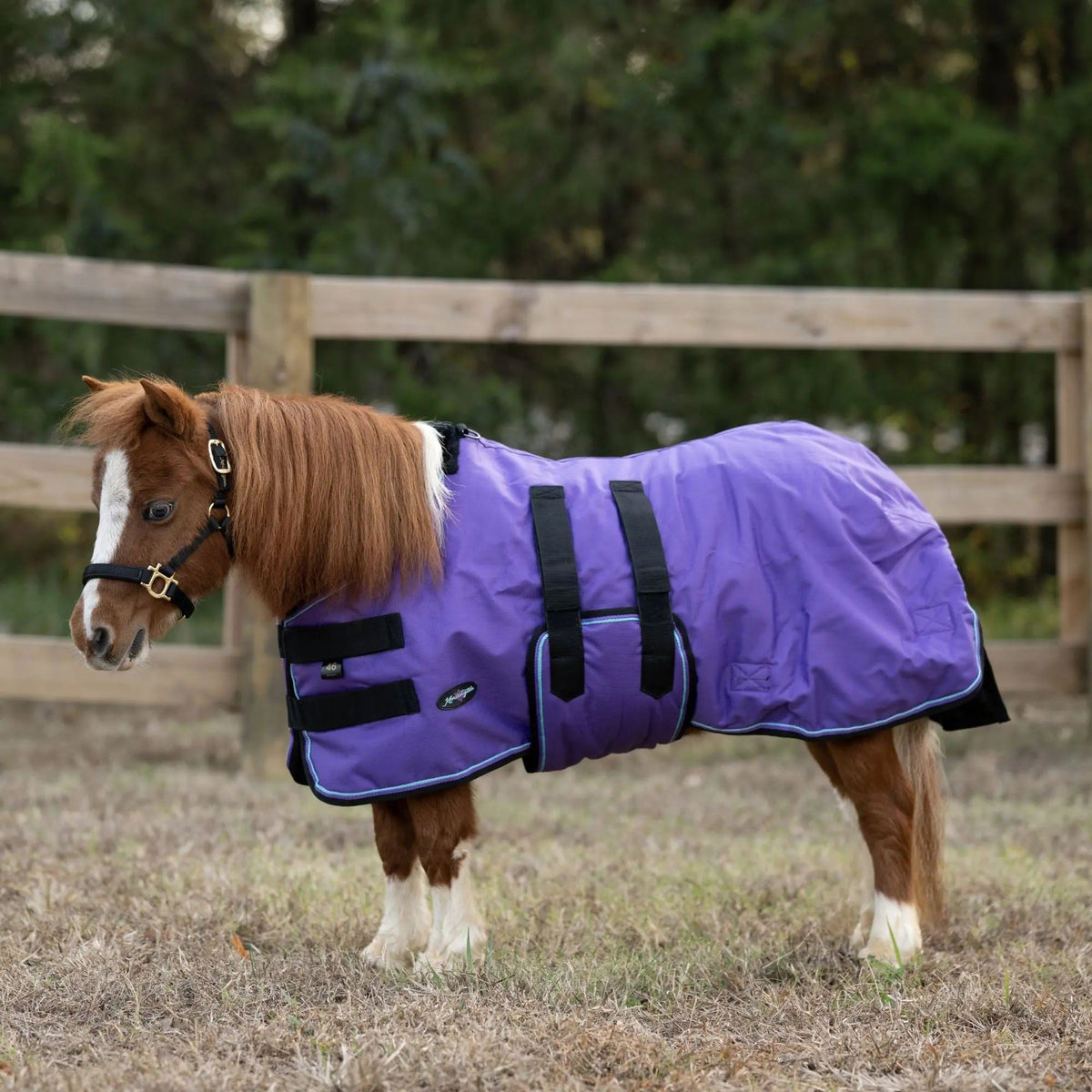 Mini 80G Light Weight Horse Winter Turnout Blanket - Waterproof & Breathable