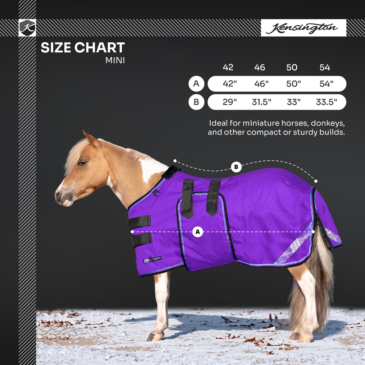 New Mini 180G Medium Weight Horse Winter Turnout Blanket - Waterproof & Breathable