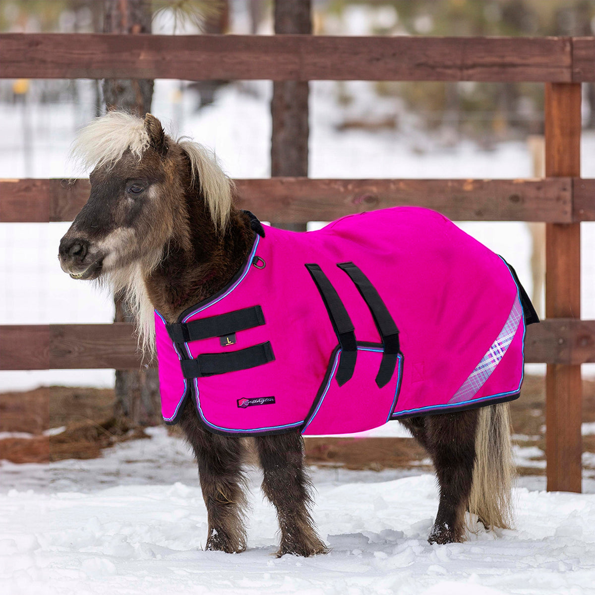 New Mini 300G Heavy Weight Horse Winter Turnout Blanket - Waterproof & Breathable