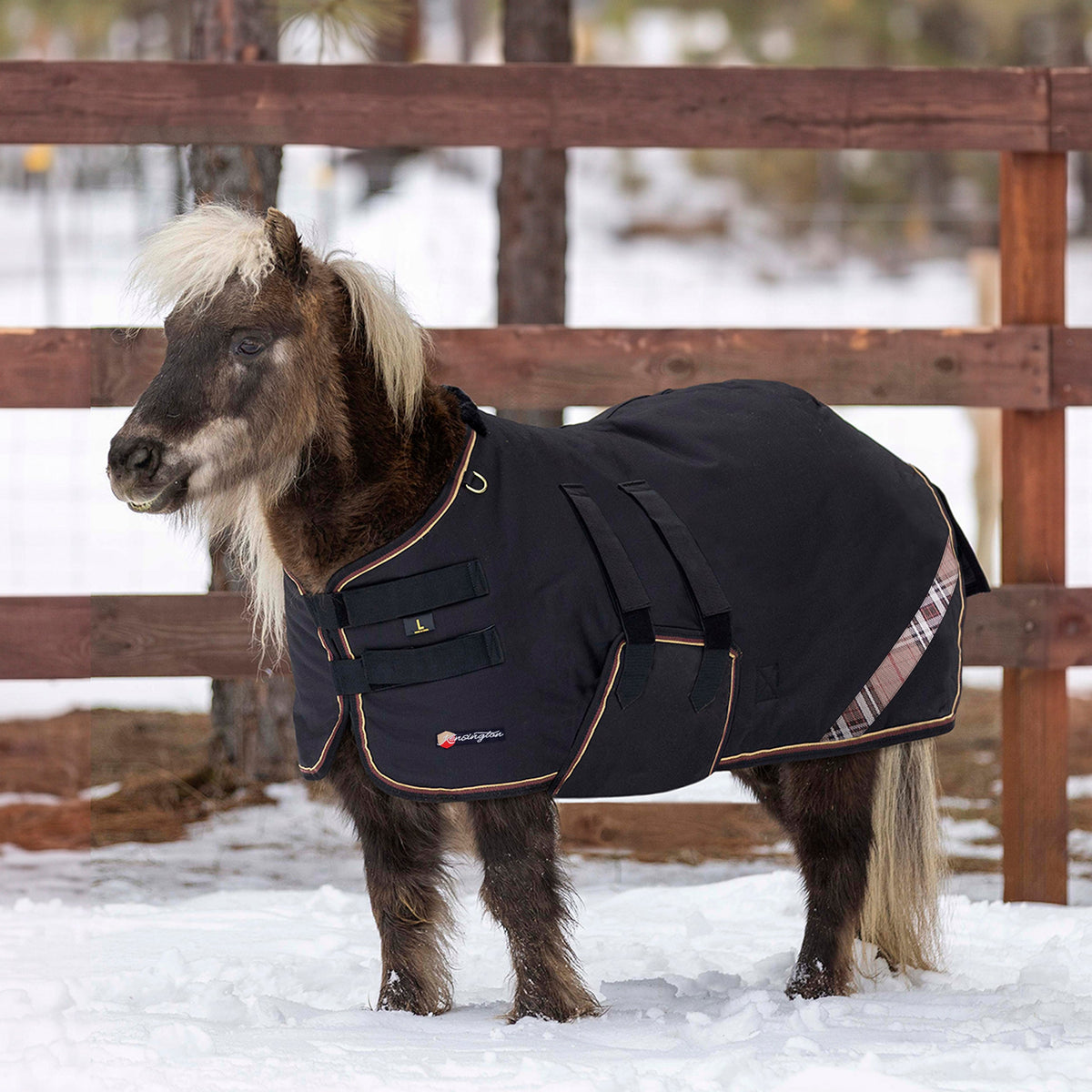 New Mini 300G Heavy Weight Horse Winter Turnout Blanket - Waterproof & Breathable