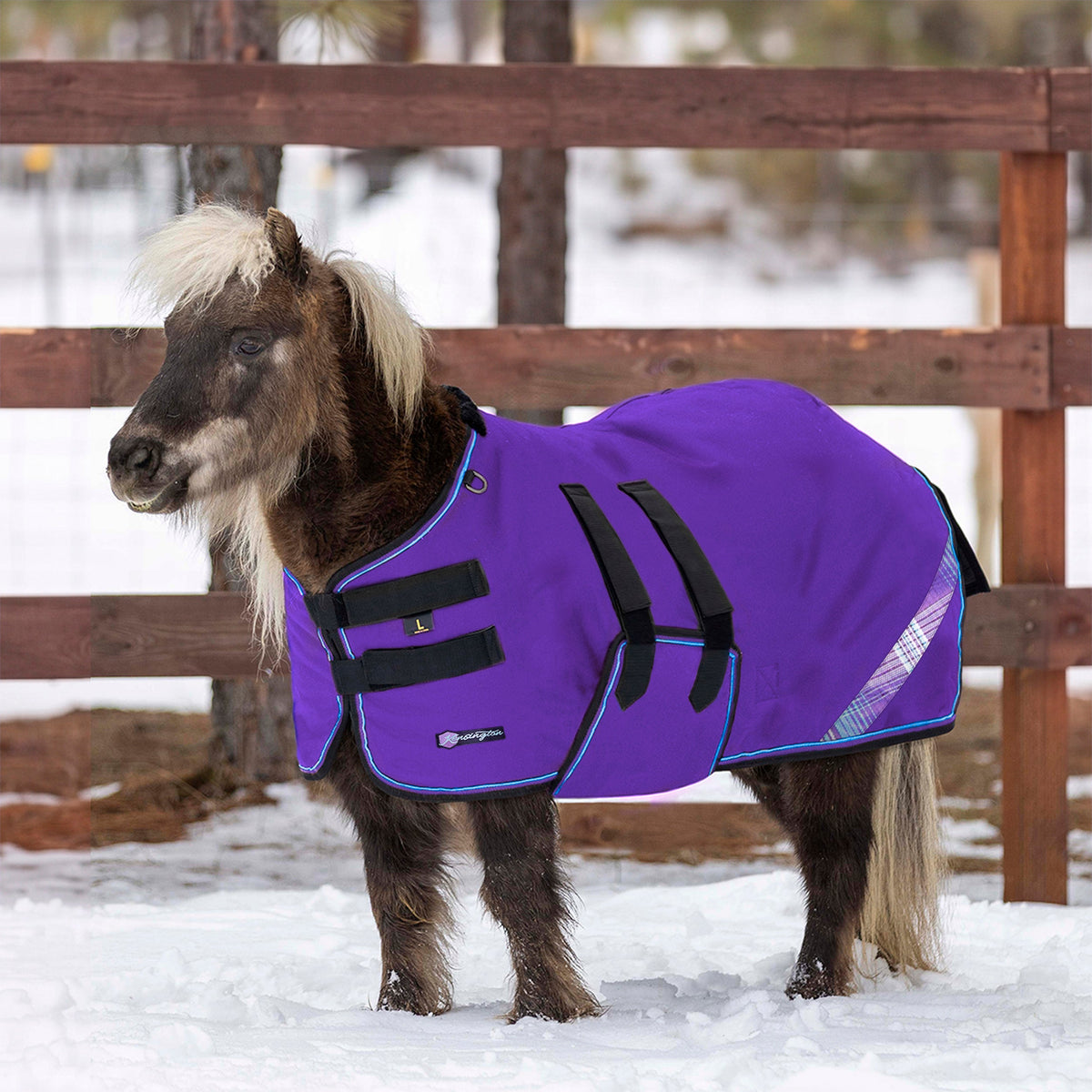 New Mini 300G Heavy Weight Horse Winter Turnout Blanket - Waterproof & Breathable