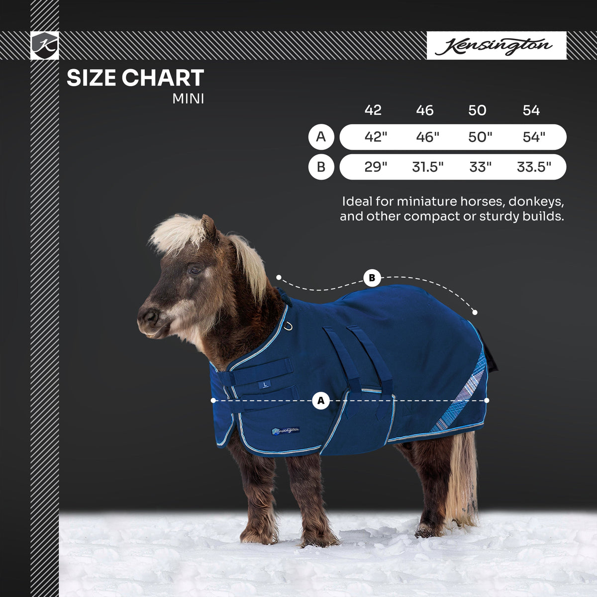 New Mini 300G Heavy Weight Horse Winter Turnout Blanket - Waterproof & Breathable