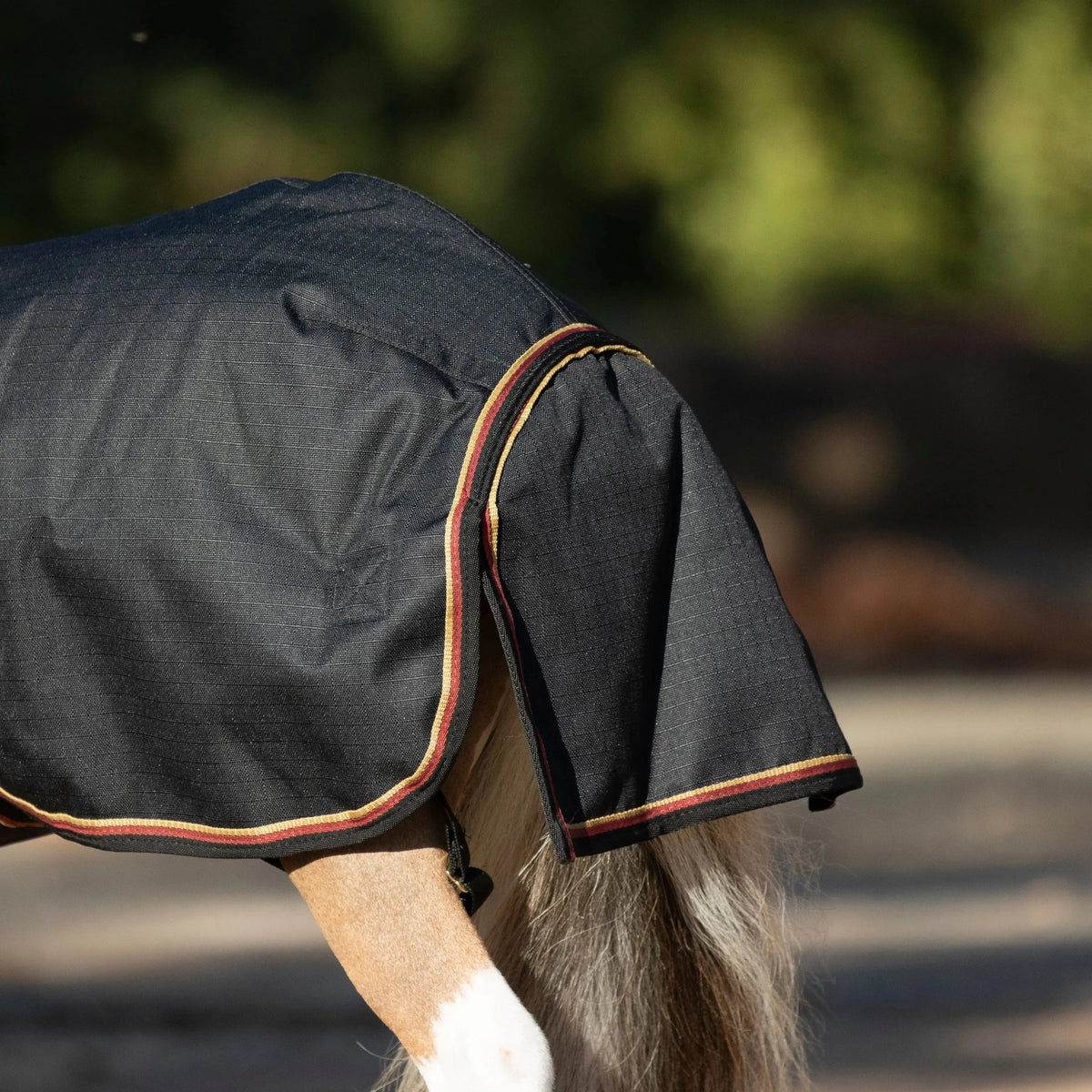 Mini 80G Light Weight Horse Winter Turnout Blanket - Waterproof & Breathable