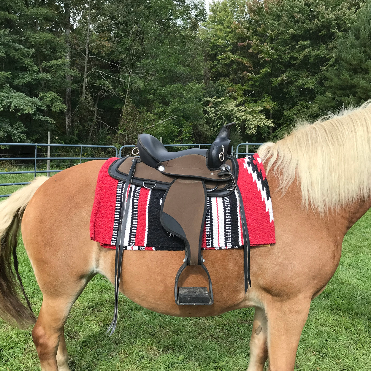 Handwoven Navajo-Inspired Acrylic Western Horse Saddle Blanket – 32" x 64", Southwest Aztec Design, Decorative, Great for Riding, Display, or Home Decor