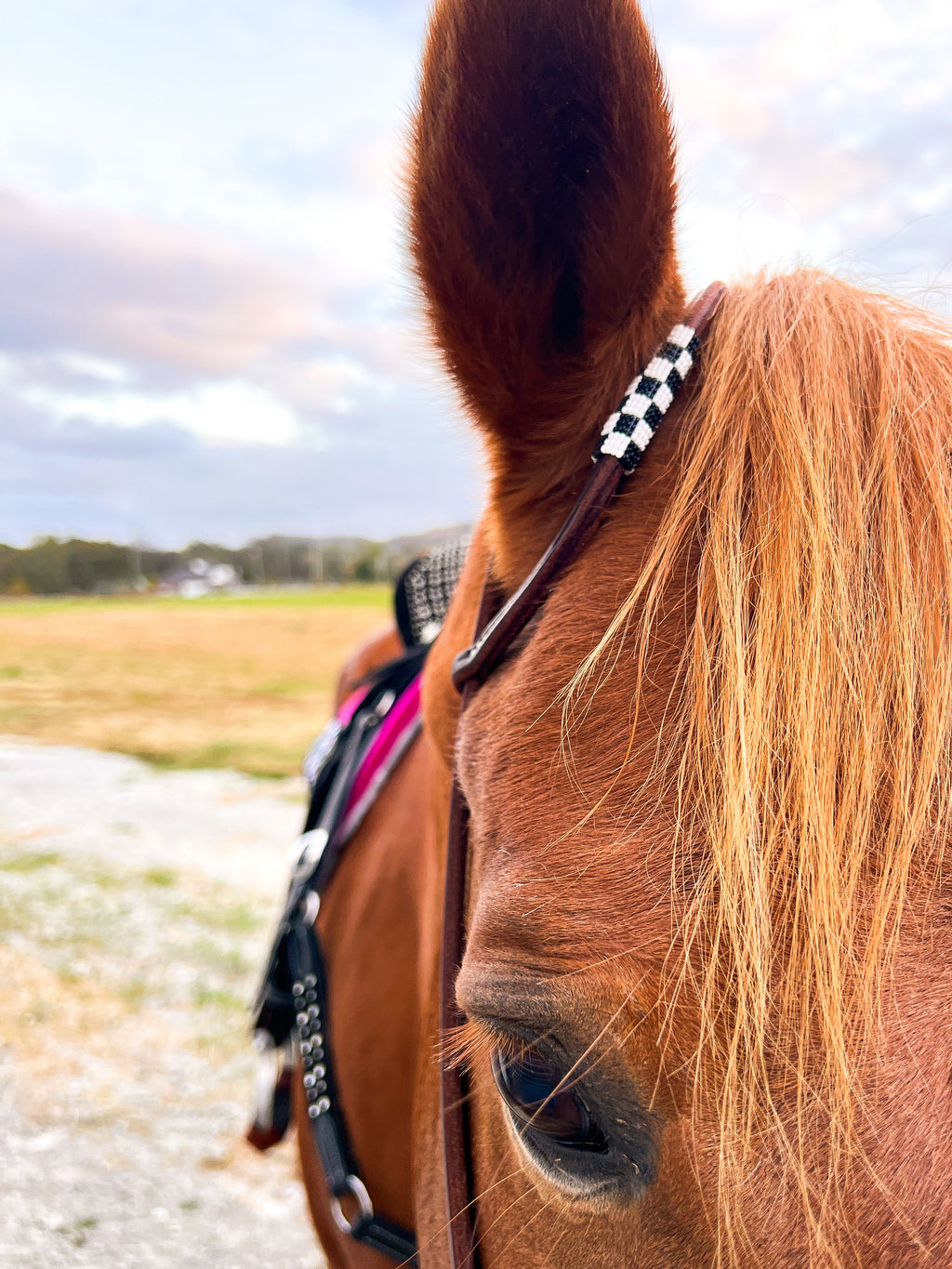 Checks Out *Mini* Beaded Headstall (Black/White )