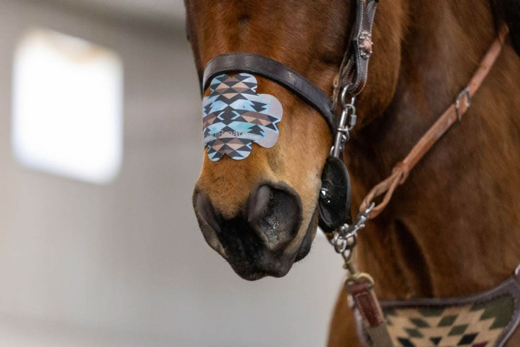 EquiBreathe™ Equine Nasal Patch - Aztec