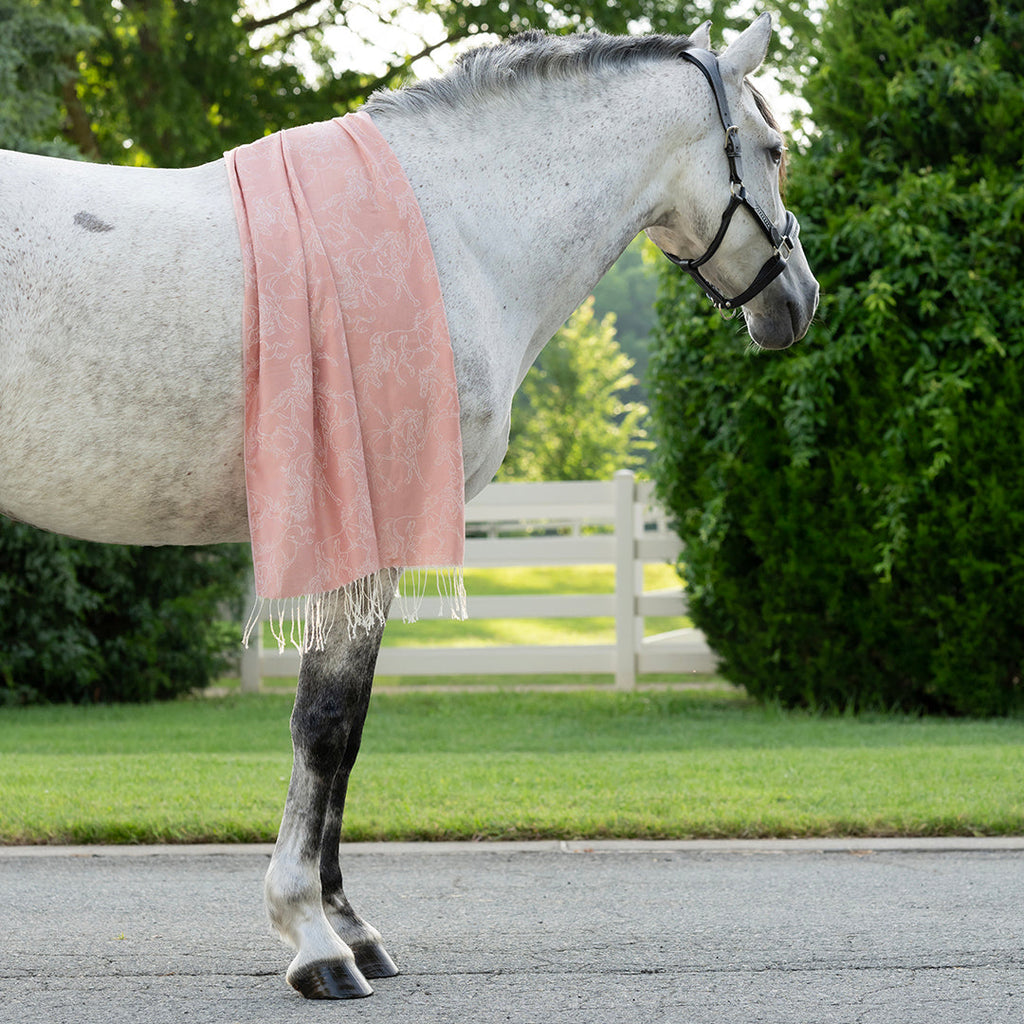 AWST Int'l Lila Linear Horses Pashmina Scarf