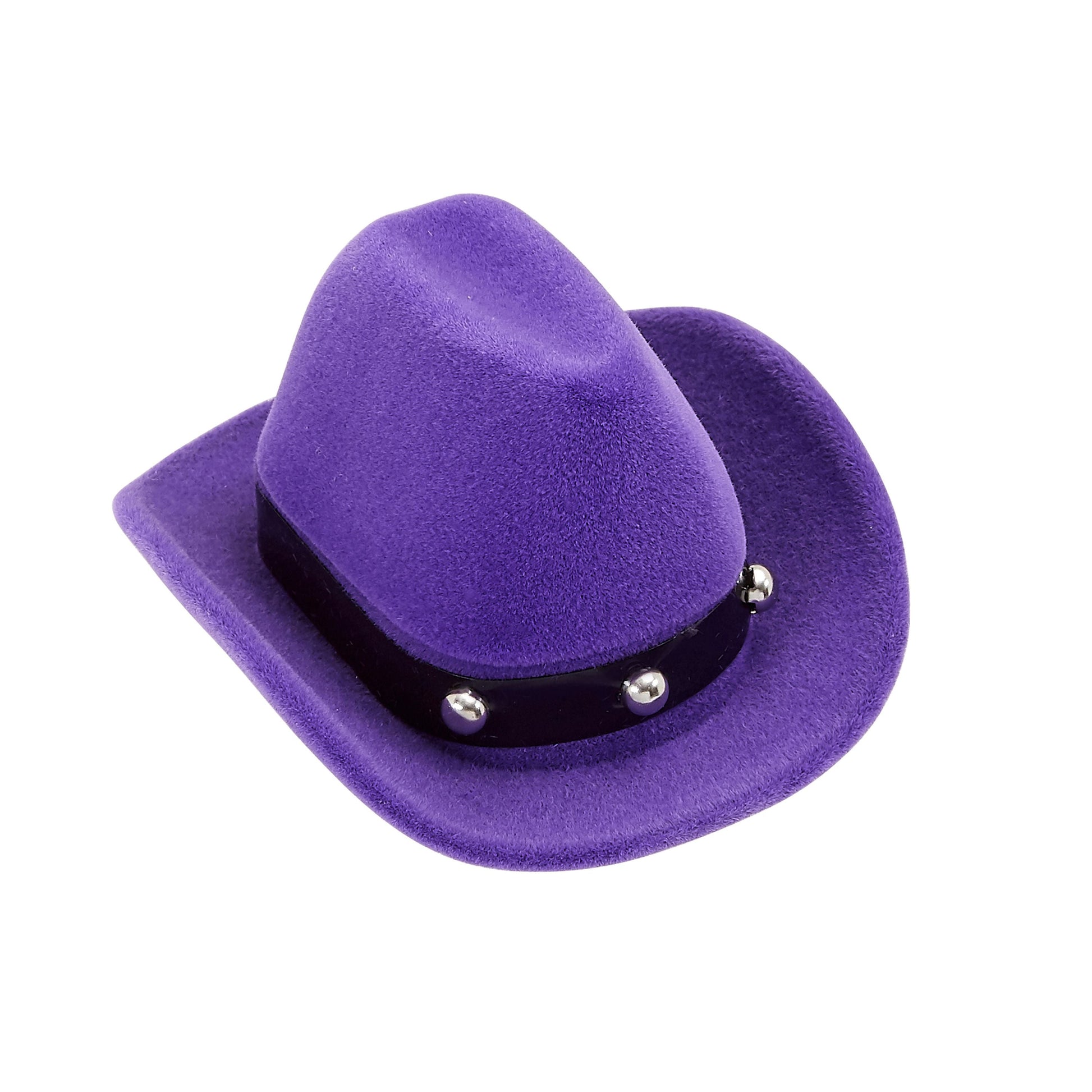 AWST Int'l Horse Head Earrings w/Purple Cowboy Hat Gift Box