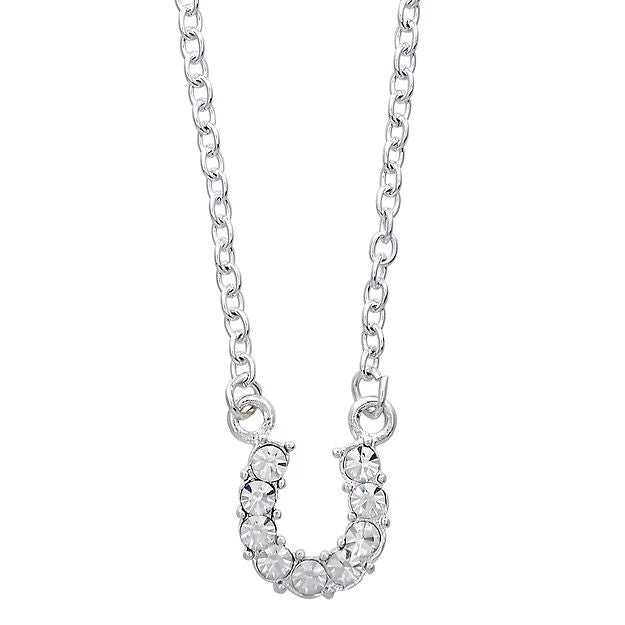 AWST Int'l Aqua Rhinestone Horseshoe Necklace w/Horse Head Gift Box