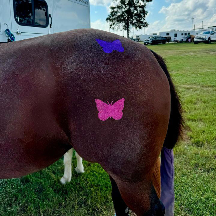 Butterfly Minimarx