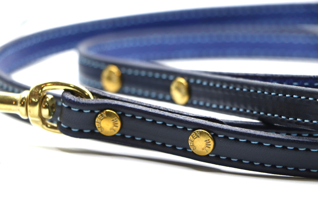 Limited Edition Light Blue Stitched Dog Leash