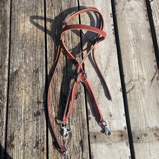 BH oversize browband quick change training headstall