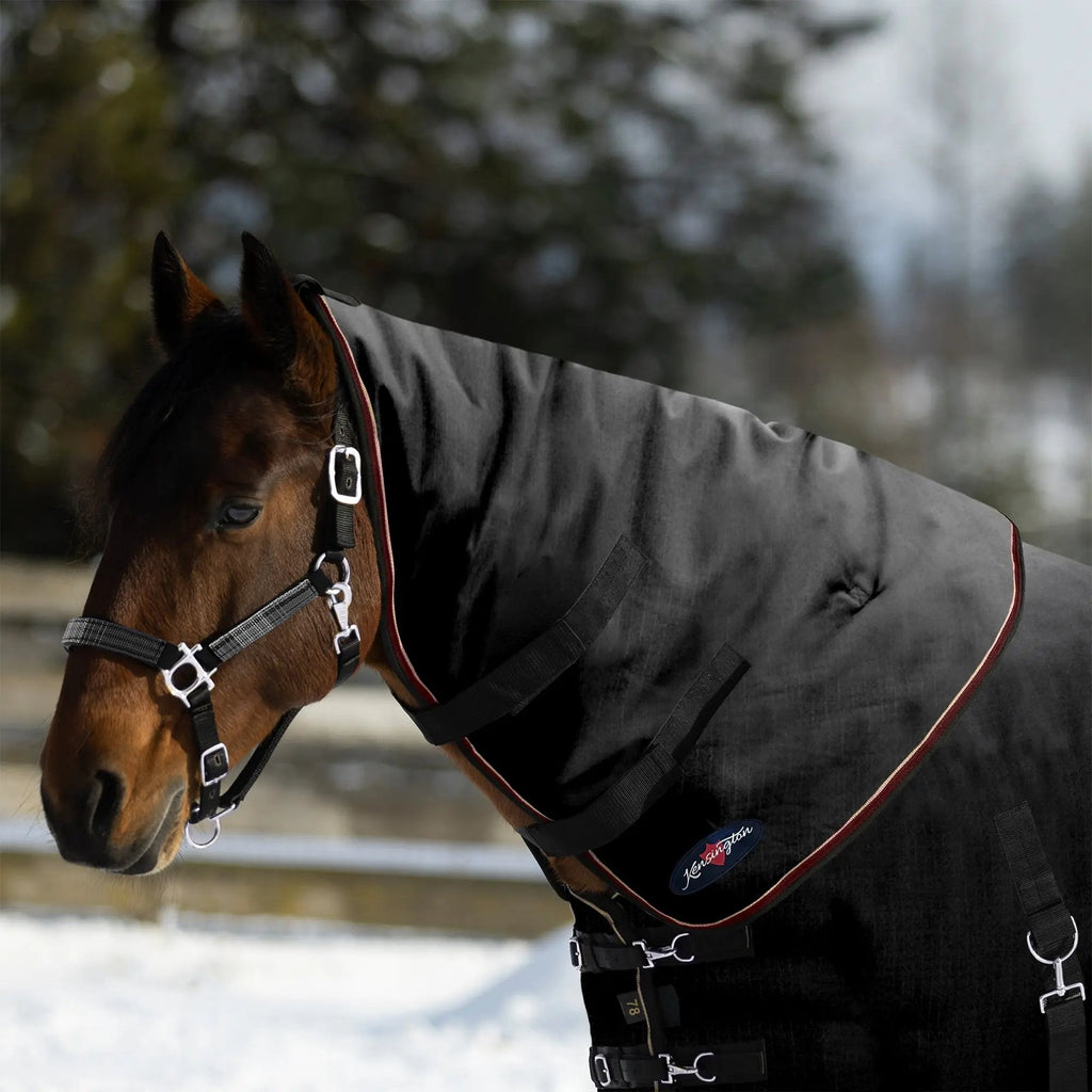 New 1200D Horse 180G Medium Weight Winter Neck Warmer - Waterproof & Breathable