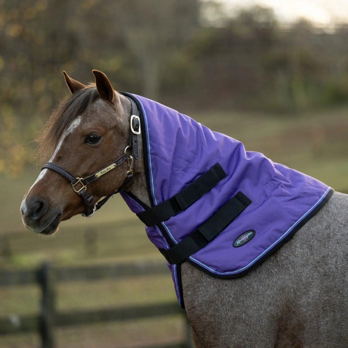 New Pony 180G Medium Weight Winter Neck Warmer - Waterproof & Breathable