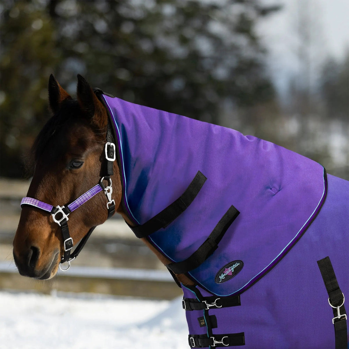 New 1200D Horse 180G Medium Weight Winter Neck Warmer - Waterproof & Breathable