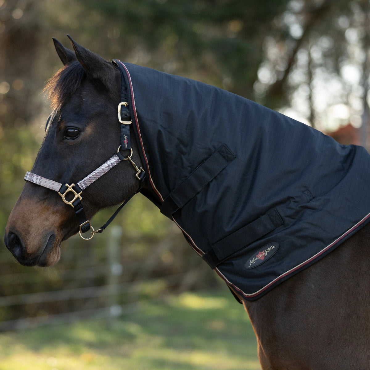 1200D Horse 180G Medium Weight Winter Neck Warmer - Waterproof & Breathable