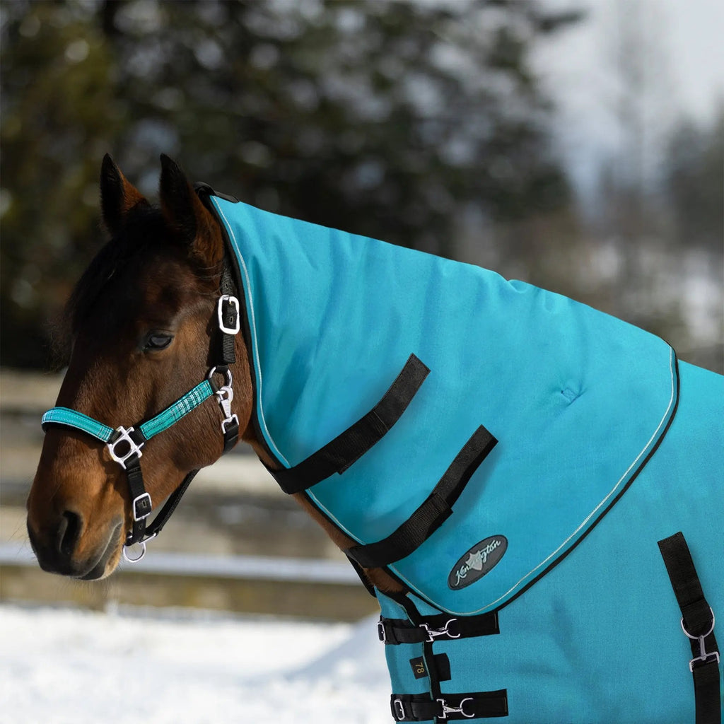 New 1200D Horse 180G Medium Weight Winter Neck Warmer - Waterproof & Breathable