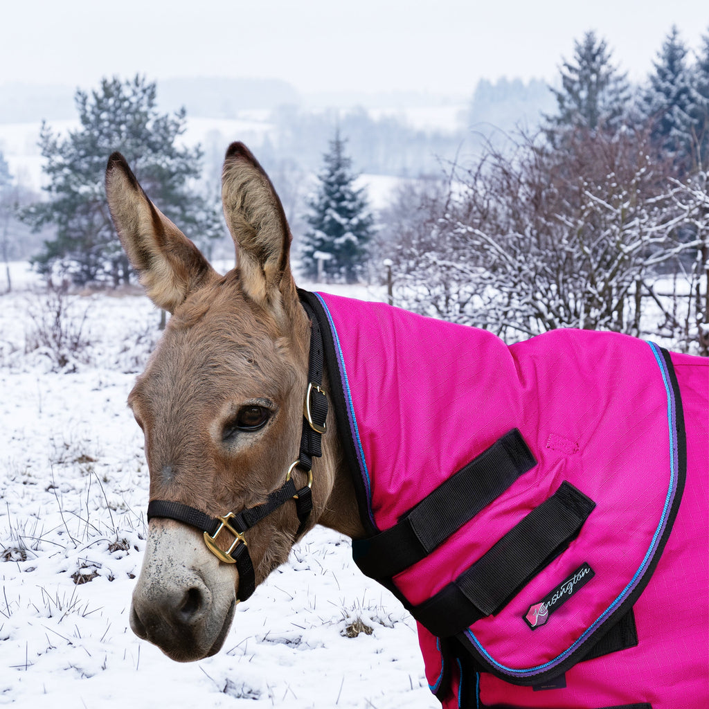 New Mini Donkey 180G Medium Weight Winter Neck Warmer - Waterproof & Breathable