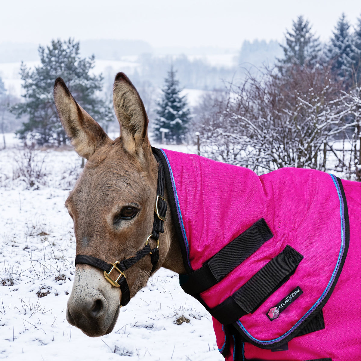 New Mini Donkey 180G Medium Weight Winter Neck Warmer - Waterproof & Breathable