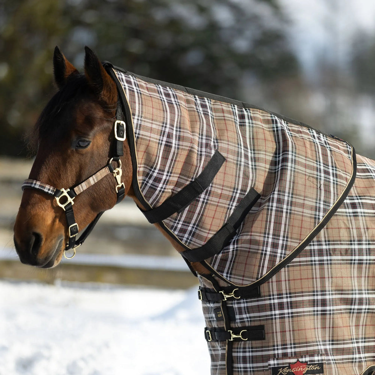 Supermesh® Horse Winter Neck Warmer - Waterproof & Breathable - Supremely Durable Textilene® - Multiple Weights