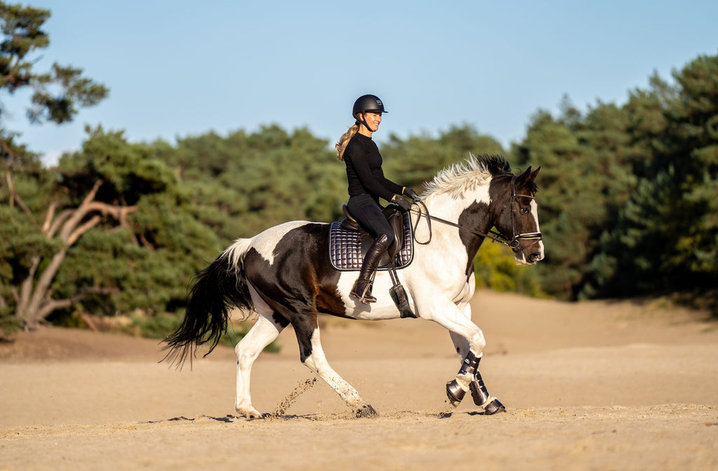 Spaceship Grey Saddle Pad Set