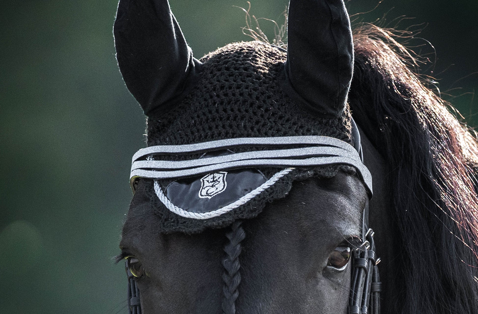 Black Ink Fly Hat