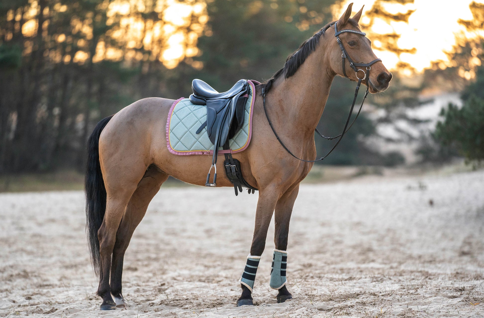 Teaparty Green Saddle Pad Set (Limited Edition)