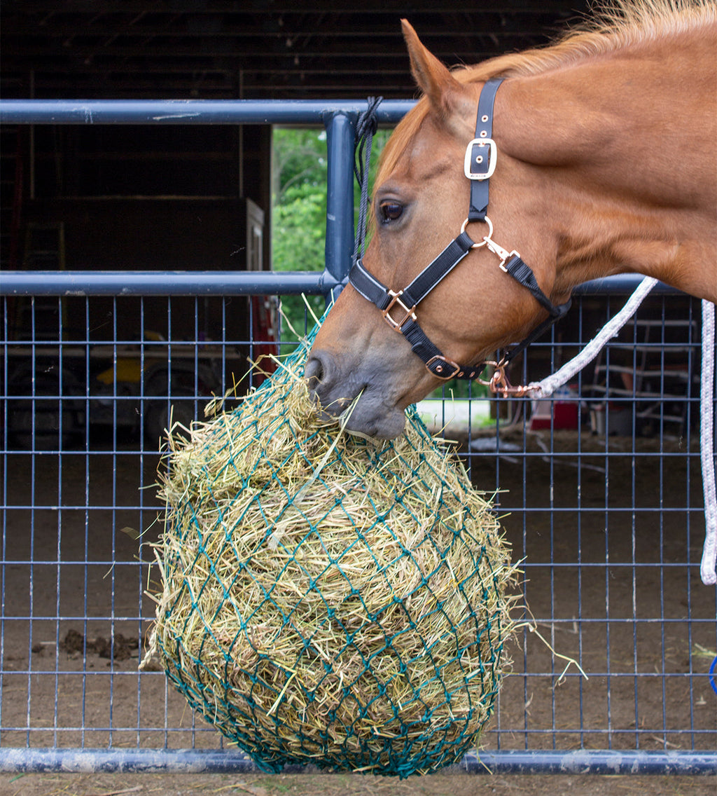 Derby Originals 48” Eager Feeder Slow Feed Hanging Hay Net for Horses
