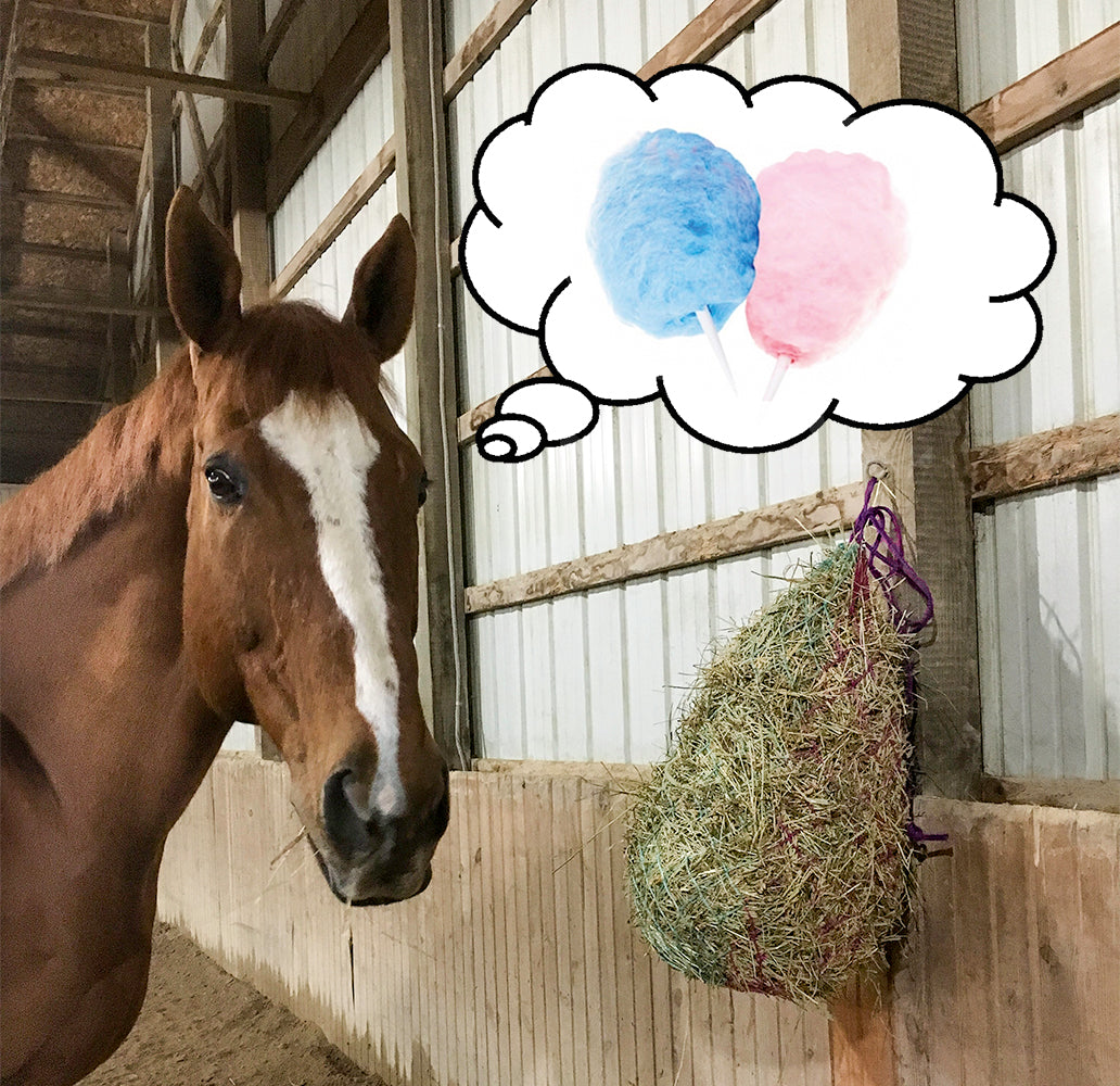 Derby Originals 42” Cotton Candy Slow Feed Hanging Hay Net for Horses