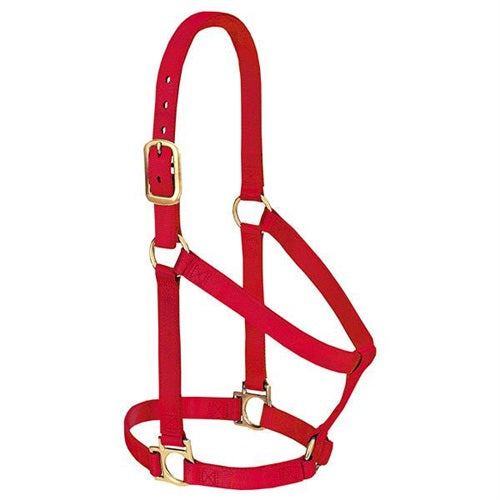 Basic Non-Adjustable Halter - Average Red