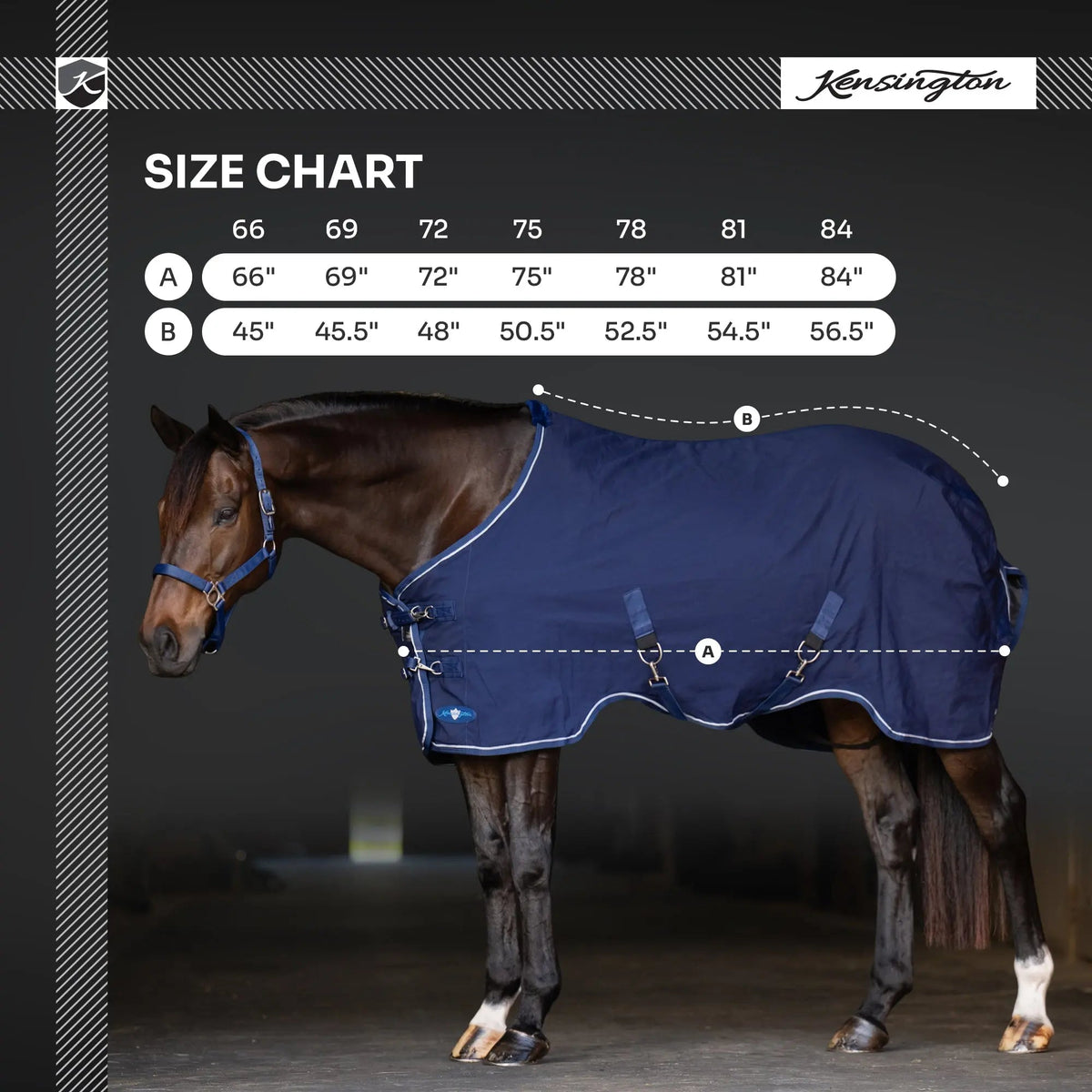 Horse Poly Cotton Day Sheet - Breathable Stable Sheet