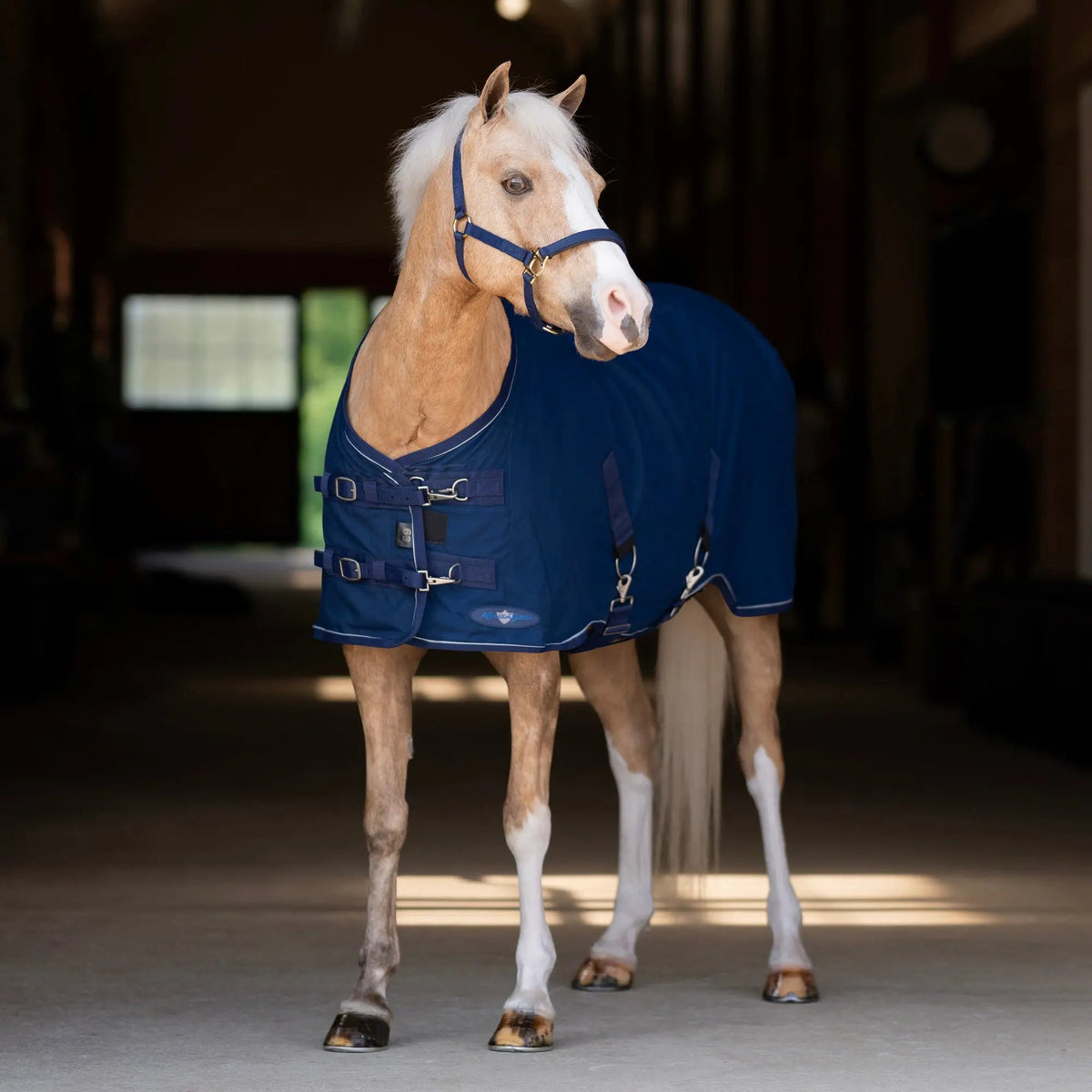Pony Poly Cotton Day Sheet - Breathable Stable Sheet