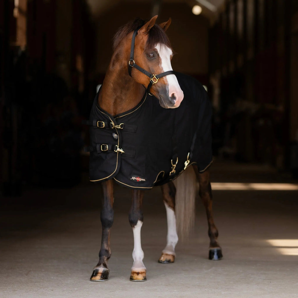 Pony Poly Cotton Day Sheet - Breathable Stable Sheet