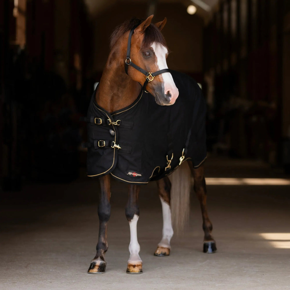 Pony Poly Cotton Day Sheet - Breathable Stable Sheet