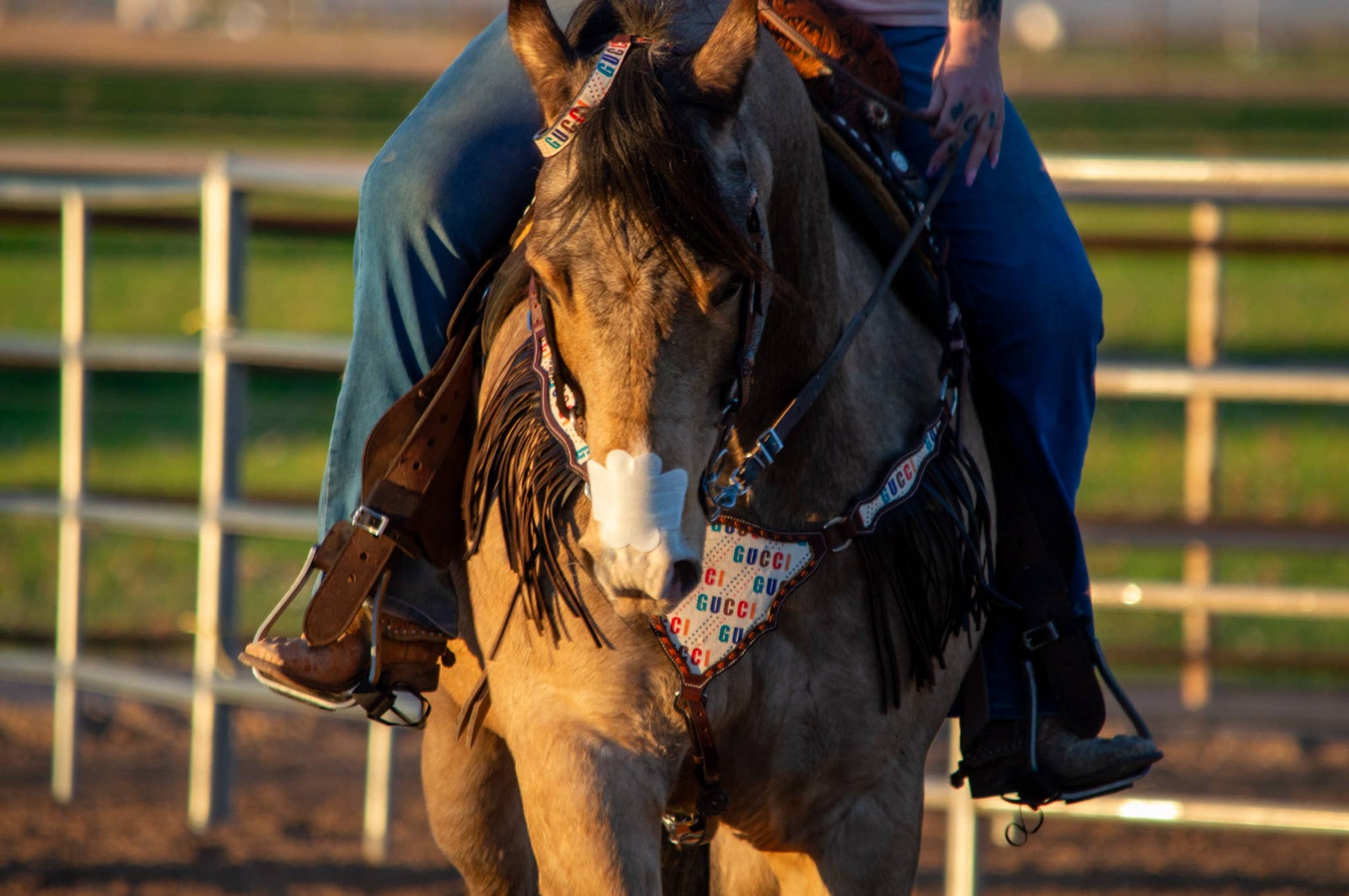 EquiBreathe™ Equine Nasal Patch - White