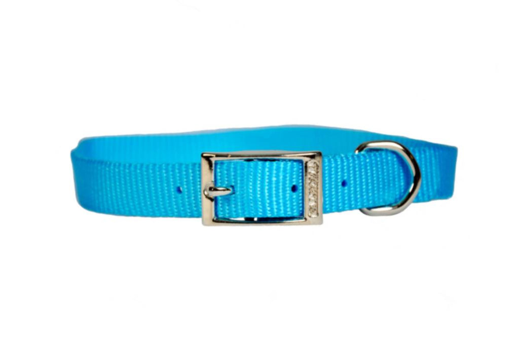 24"TURQUOISE-COLLAR 1 3/4" DOUBLE LAYER
