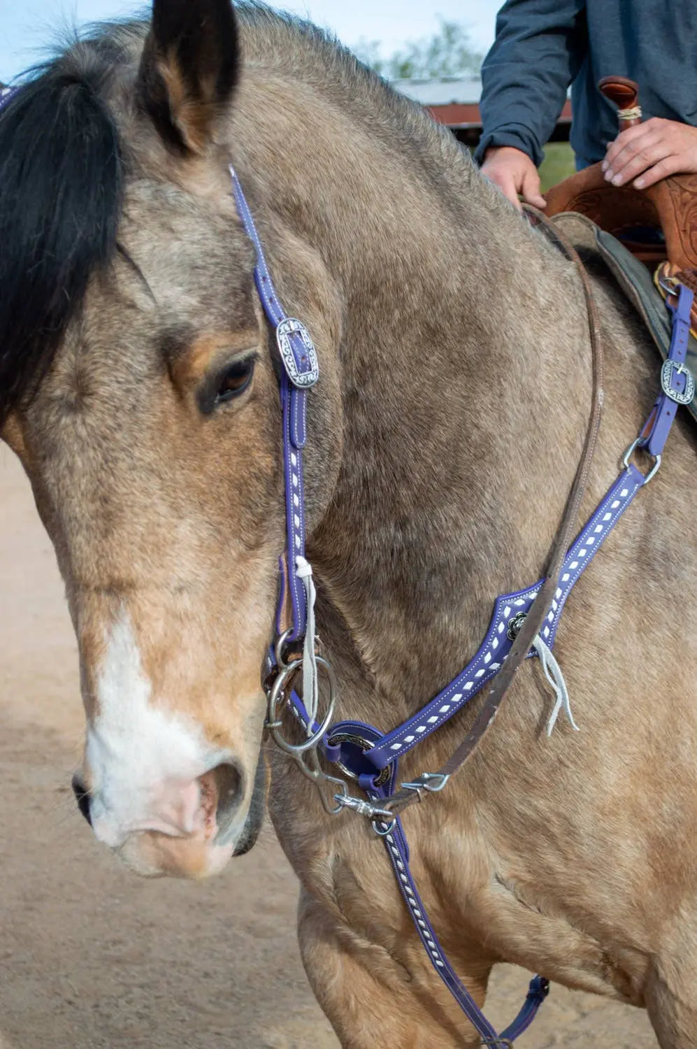 Buckstitchin’ Beauty Purple Tack Set