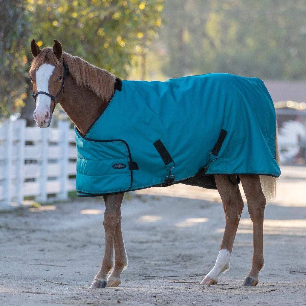 1200Denier Adjustable Weanling "180G" Medium Weight Waterproof & Breathable Winter Turnout