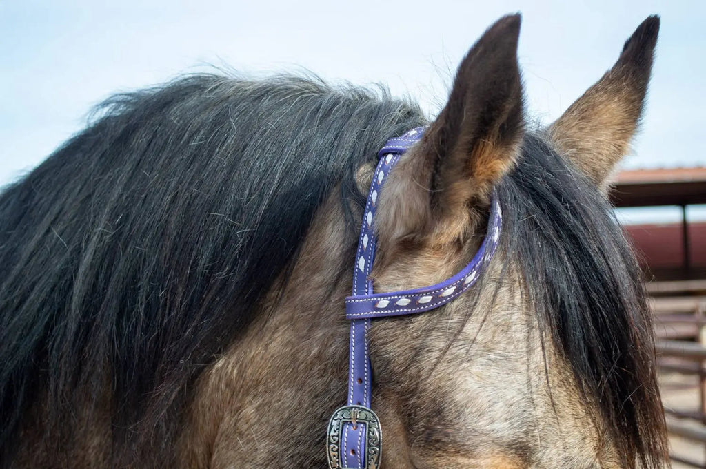 Buckstitchin’ Beauty Purple Tack Set