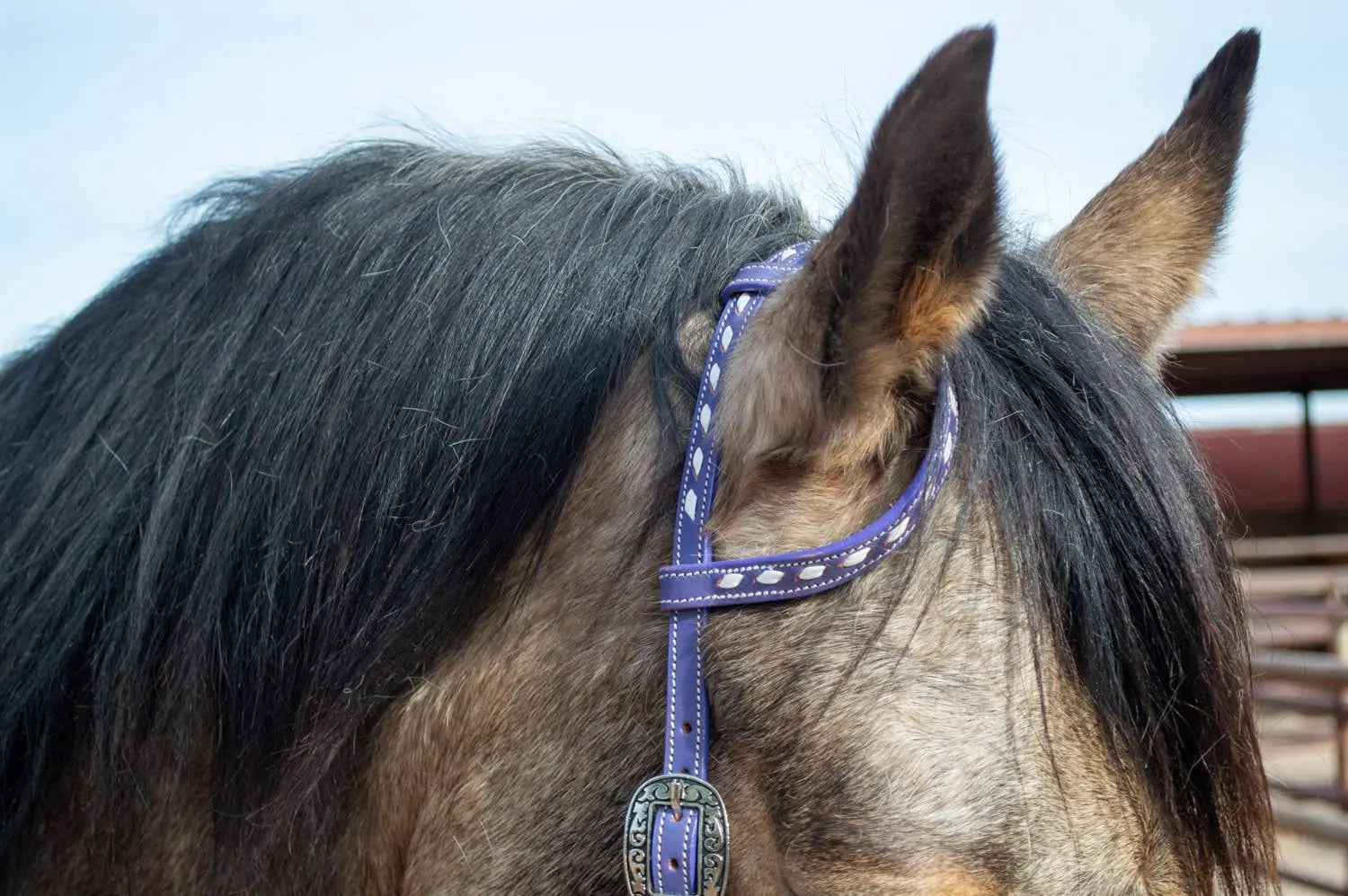 Buckstitchin’ Beauty Purple Tack Set