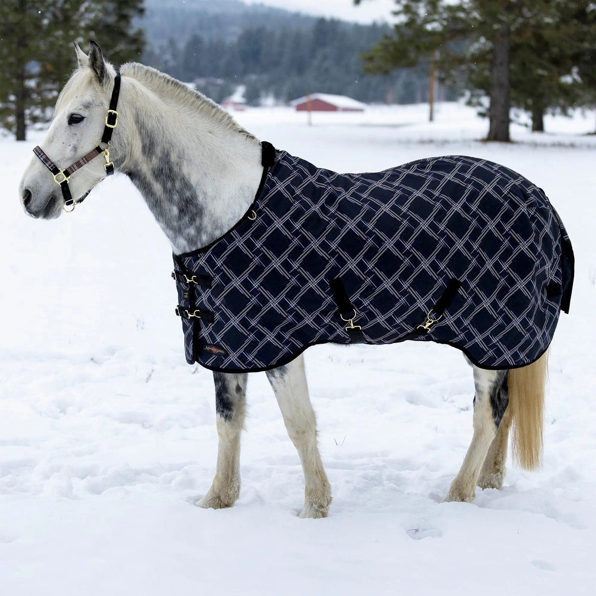 1200D Midweight 180g Horse Winter Turnout Blanket - Waterproof & Breathable