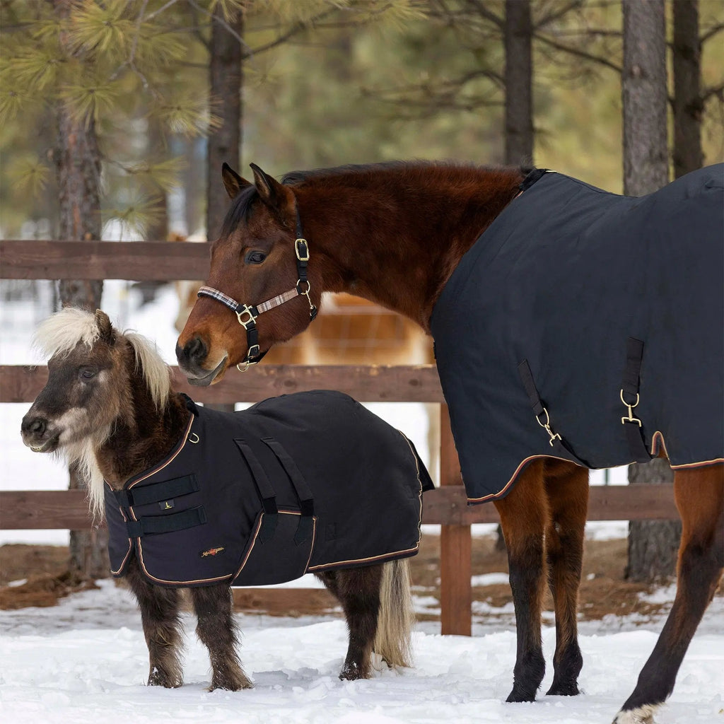 Mini 80G Light Weight Horse Winter Turnout Blanket - Waterproof & Breathable