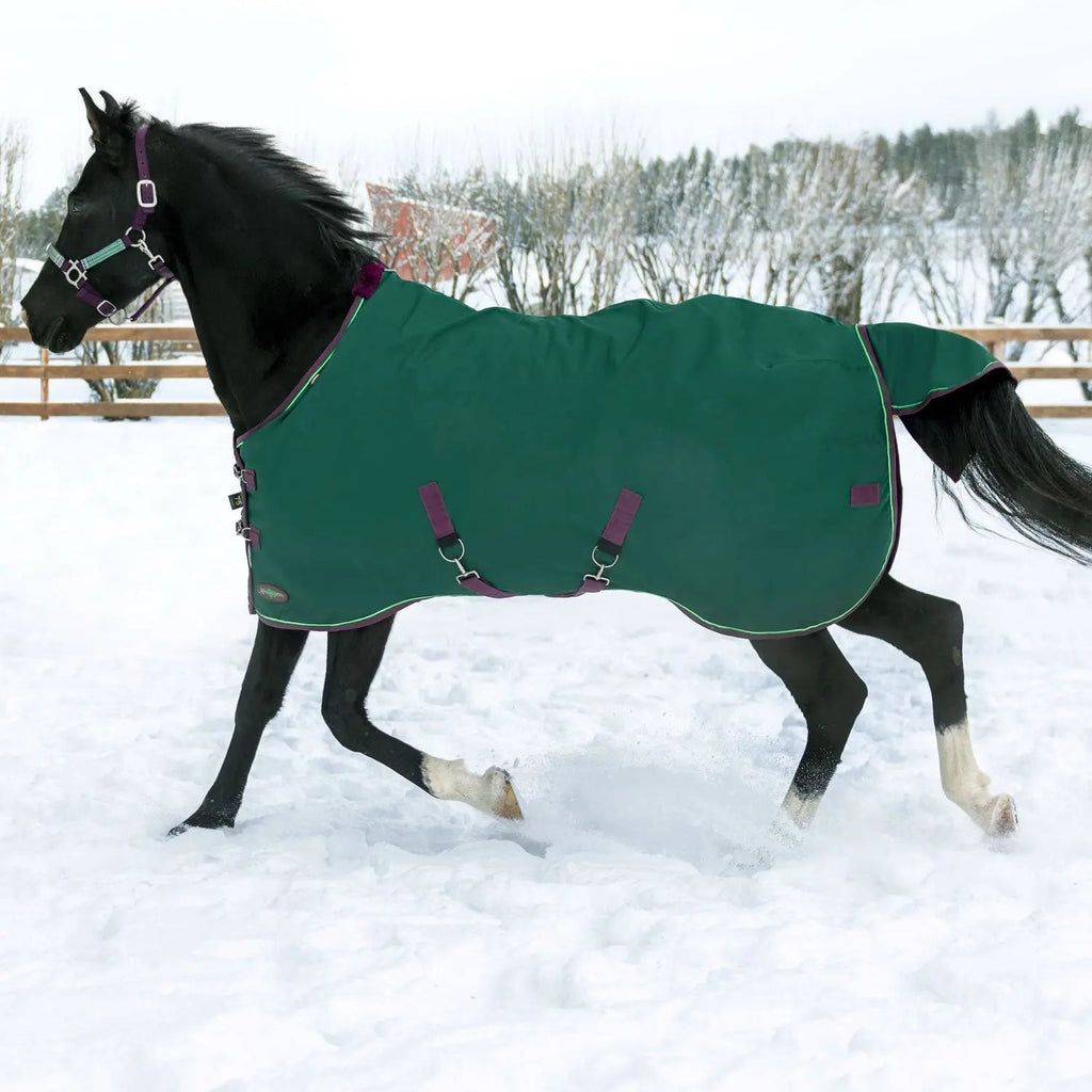 1200D Heavyweight 300g Horse Winter Turnout Blanket - Waterproof & Breathable