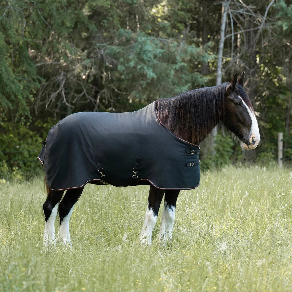 Draft Horse Lightweight 80g Winter Turnout Blanket - Waterproof & Breathable